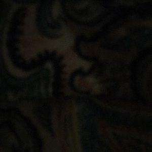 Meet your Posher, Lenard